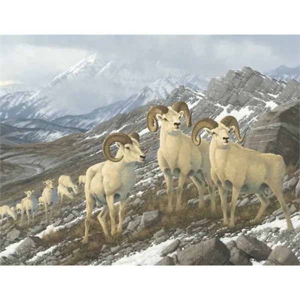 Products Wildlife Collection Appointment Calendar - Stapled - Products Wildlife Collection Appointment Calendar - Stapled - Image 31 of 31