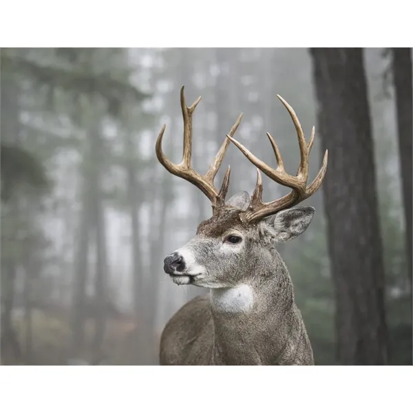 Products Trophy Whitetail Deer Appointment Calendar - Sta... - Products Trophy Whitetail Deer Appointment Calendar - Sta... - Image 21 of 31