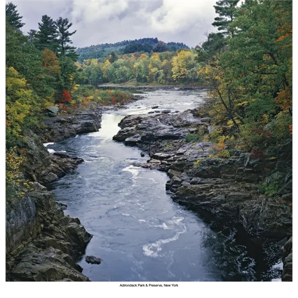 Products Scenic America® Executive - Products Scenic America® Executive - Image 30 of 32