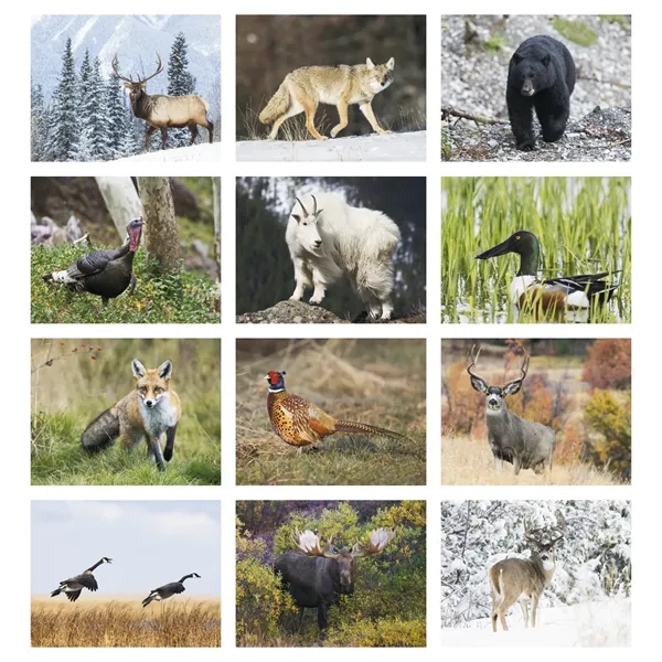 Triumph® Calendars Sportsman Calendar - Triumph® Calendars Sportsman Calendar - Image 7 of 31