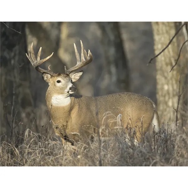 Triumph® Calendars Sportsman Calendar - Triumph® Calendars Sportsman Calendar - Image 20 of 31