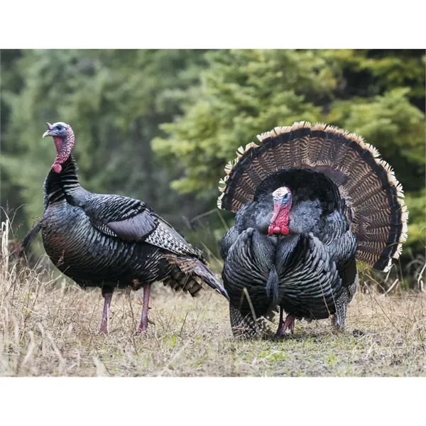 Triumph® Calendars Sportsman Calendar - Triumph® Calendars Sportsman Calendar - Image 21 of 31