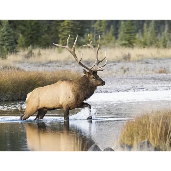 Triumph® Calendars Sportsman Calendar - Triumph® Calendars Sportsman Calendar - Image 22 of 31