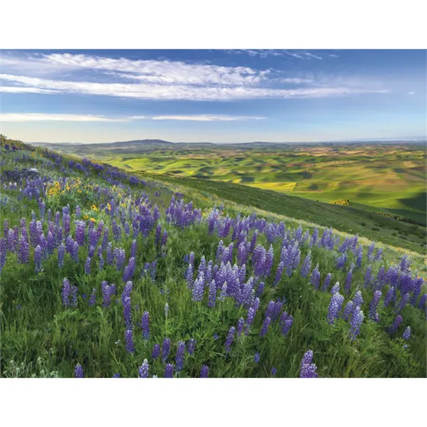 Triumph® Calendars Beautiful America Calendar - Triumph® Calendars Beautiful America Calendar - Image 24 of 30