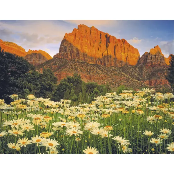 Triumph® Calendars Beautiful America Calendar - Triumph® Calendars Beautiful America Calendar - Image 27 of 30