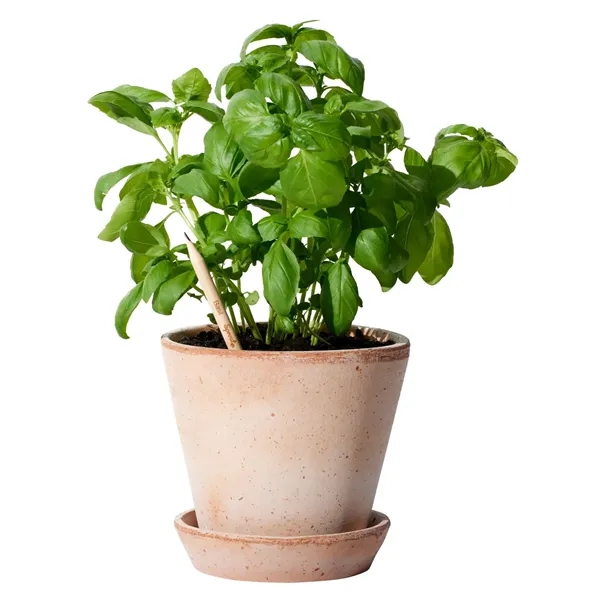 SproutWorld™ Pencil - SproutWorld™ Pencil - Image 8 of 11