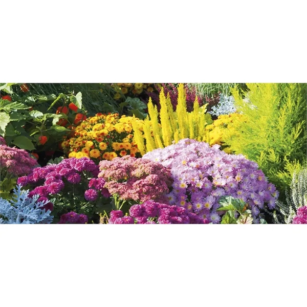 Skinner & Kennedy™ Display-A-Year - Skinner & Kennedy™ Display-A-Year - Image 24 of 27