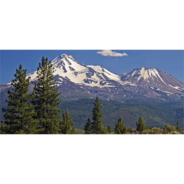 Skinner & Kennedy™ Display-A-Year - Skinner & Kennedy™ Display-A-Year - Image 25 of 27