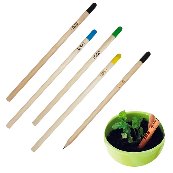 Sprout Pencil - Sprout Pencil - Image 0 of 0