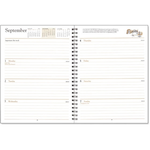 Refill-- Weekly Desk Diary (Dw)