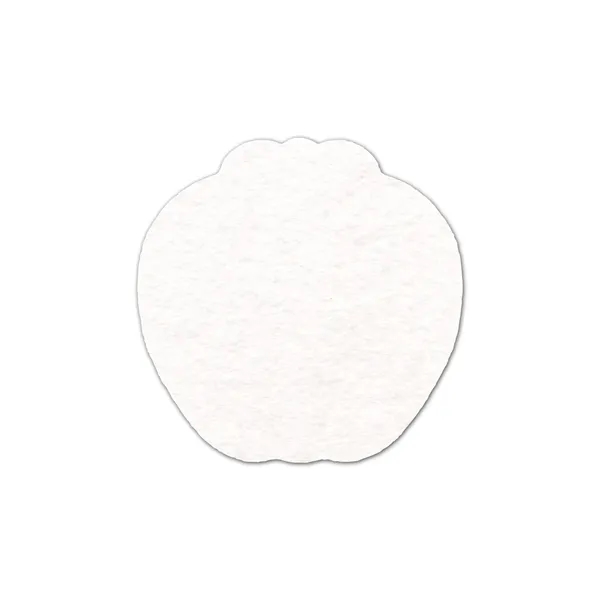Apple Shammy Coaster