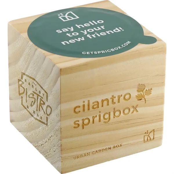 Sprigbox Cilantro Grow Kit - Sprigbox Cilantro Grow Kit - Image 2 of 5