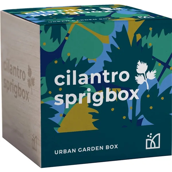 Sprigbox Cilantro Grow Kit - Sprigbox Cilantro Grow Kit - Image 4 of 5