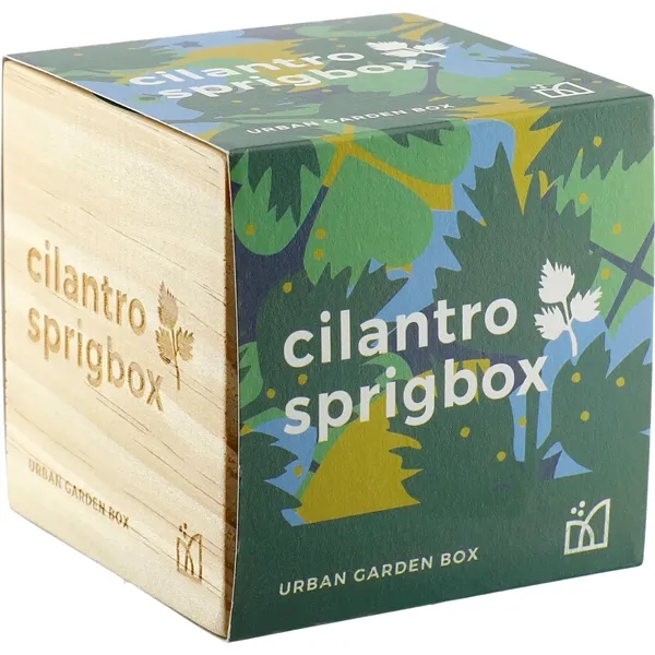 Sprigbox Cilantro Grow Kit - Sprigbox Cilantro Grow Kit - Image 5 of 5