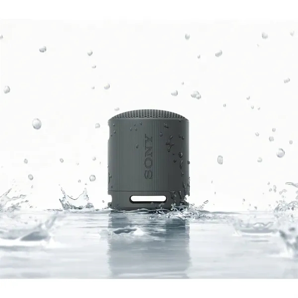 Sony SRS-XB100 Bluetooth Speaker - Sony SRS-XB100 Bluetooth Speaker - Image 10 of 12