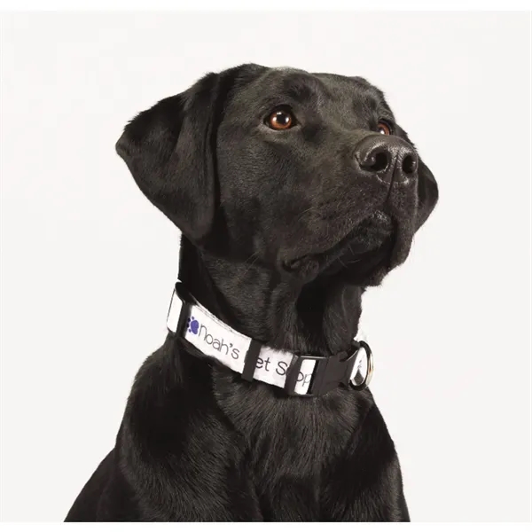 Full Color 1" Wide Adjustable Pet Collar - Full Color 1" Wide Adjustable Pet Collar - Image 1 of 1