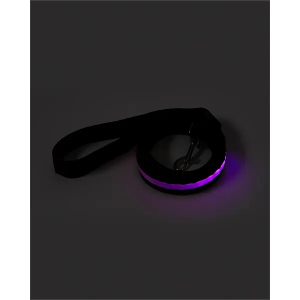 Rechargeable LED Light-Up Dog Leash - Rechargeable LED Light-Up Dog Leash - Image 4 of 23