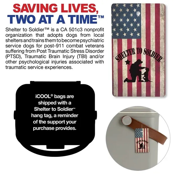 iCOOL Hale 6-Can, 5.25 Qt Hard Sided Cooler - iCOOL Hale 6-Can, 5.25 Qt Hard Sided Cooler - Image 20 of 21