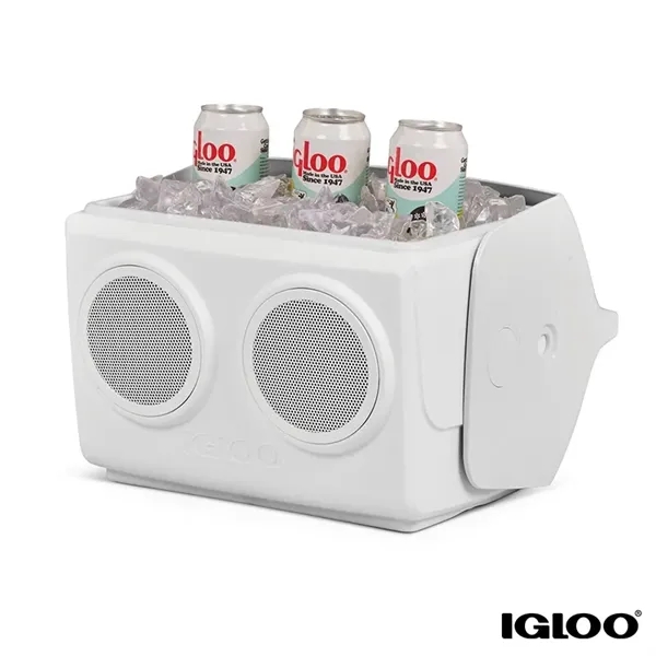 Igloo® KoolTunes® Cooler - Igloo® KoolTunes® Cooler - Image 6 of 11