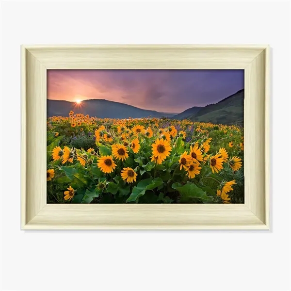 Framed Prints - Framed Prints - Image 0 of 0