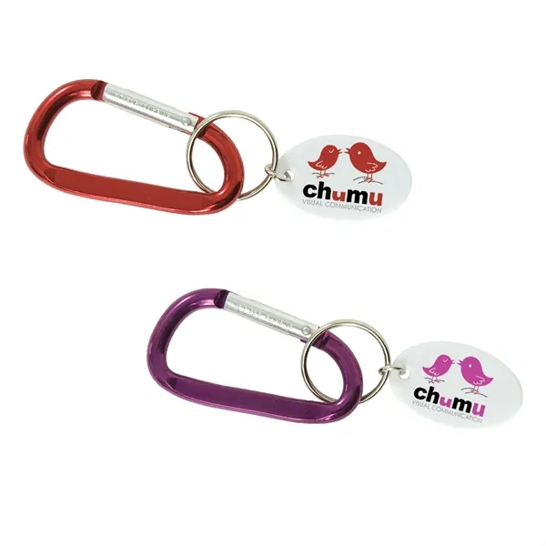 Small Carabiner Keytag - Small Carabiner Keytag - Image 0 of 2