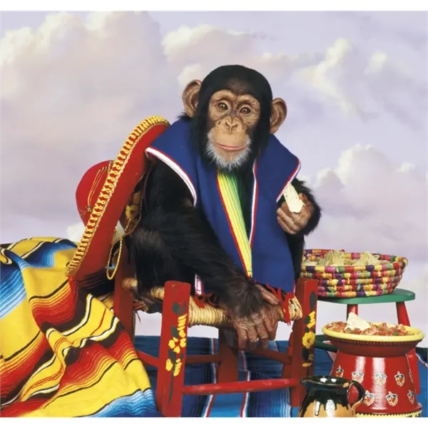 Triumph® Calendars Monkey Business Calendar - Triumph® Calendars Monkey Business Calendar - Image 15 of 22