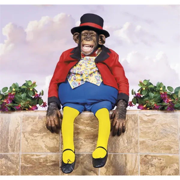 Triumph® Calendars Monkey Business Calendar - Triumph® Calendars Monkey Business Calendar - Image 19 of 22