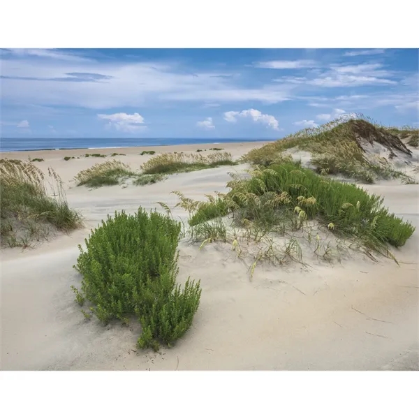 Products Catholic Reflections Appointment Calendar - Stapled - Products Catholic Reflections Appointment Calendar - Stapled - Image 26 of 31