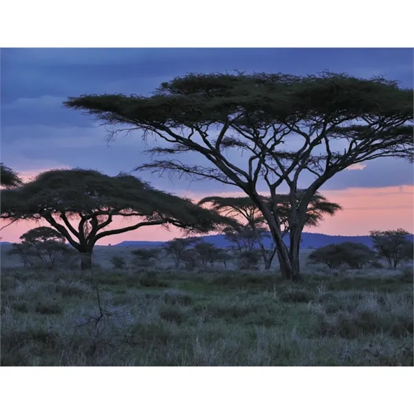 Products Destination Dreams® Appointment Calendar - Stapled - Products Destination Dreams® Appointment Calendar - Stapled - Image 30 of 31