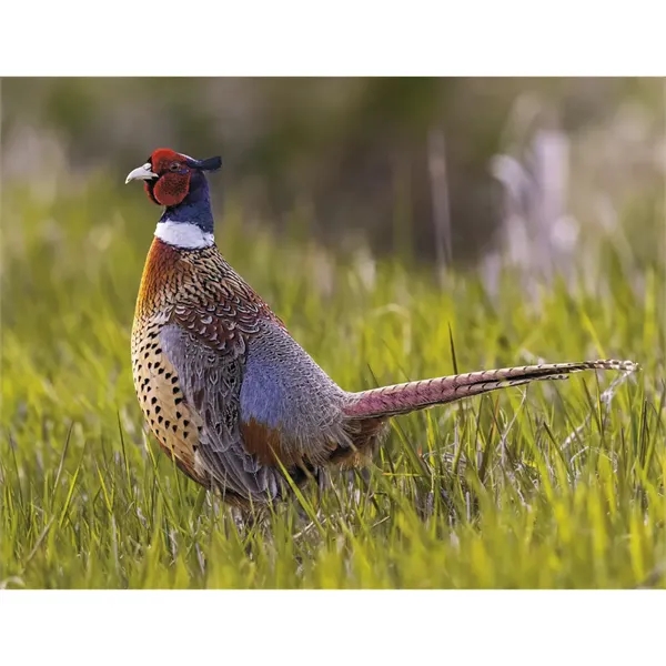 Triumph® Calendars Sportsman Calendar - Triumph® Calendars Sportsman Calendar - Image 25 of 31