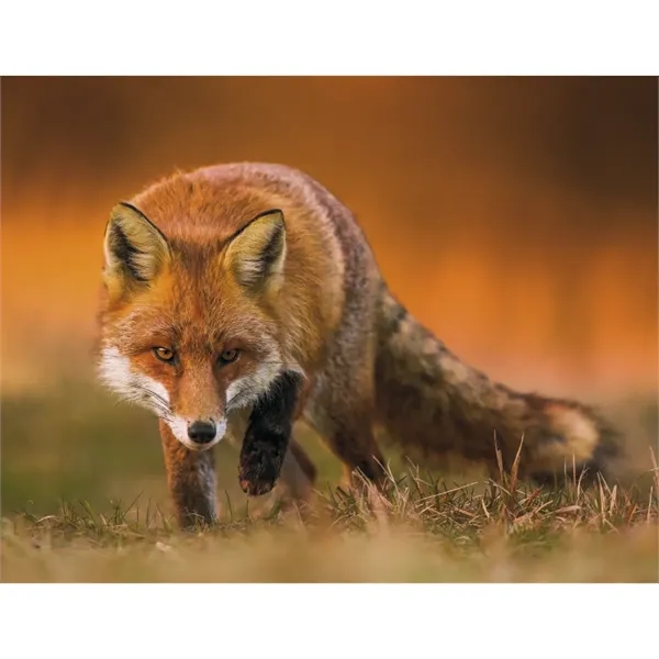 Triumph® Calendars Sportsman Calendar - Triumph® Calendars Sportsman Calendar - Image 27 of 31