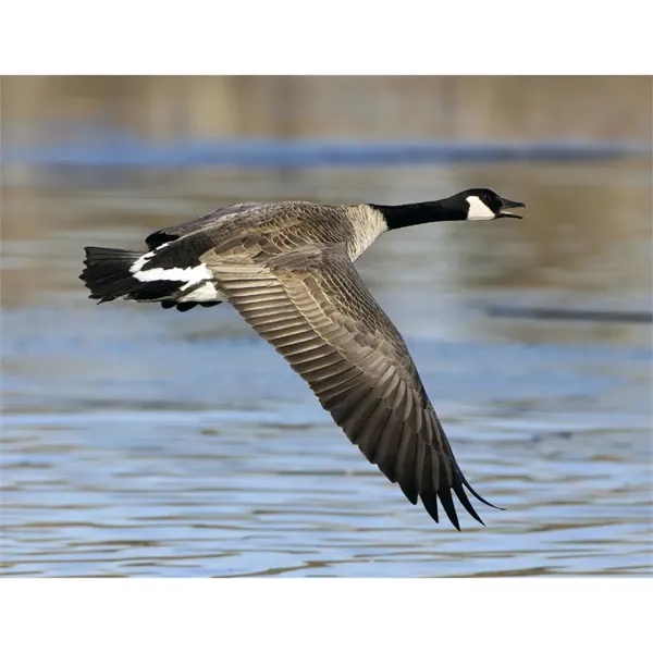 Triumph® Calendars Sportsman Calendar - Triumph® Calendars Sportsman Calendar - Image 29 of 31