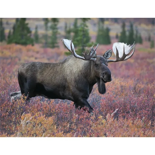 Triumph® Calendars Sportsman Calendar - Triumph® Calendars Sportsman Calendar - Image 30 of 31