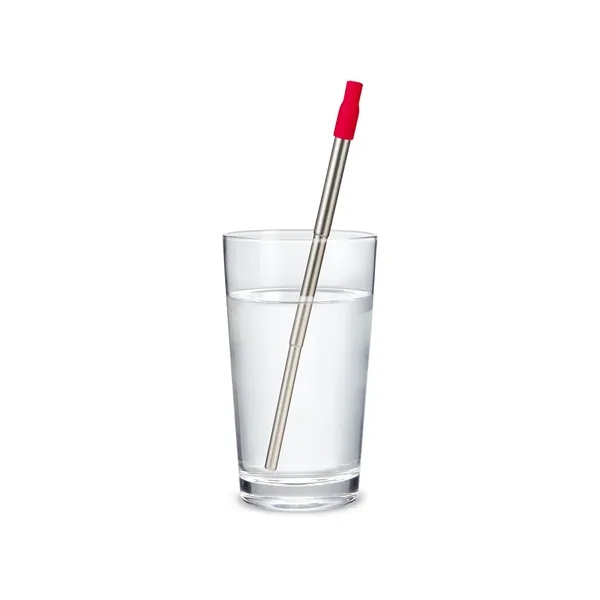 Festival Telescopic Reusable Drinking Straw Kit - Festival Telescopic Reusable Drinking Straw Kit - Image 26 of 29