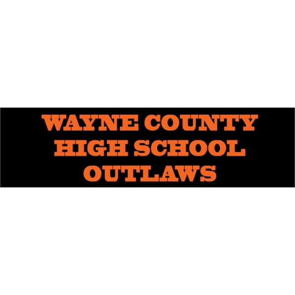 9.25" x 2.5" Bumper Sticker - 9.25" x 2.5" Bumper Sticker - Image 9 of 9