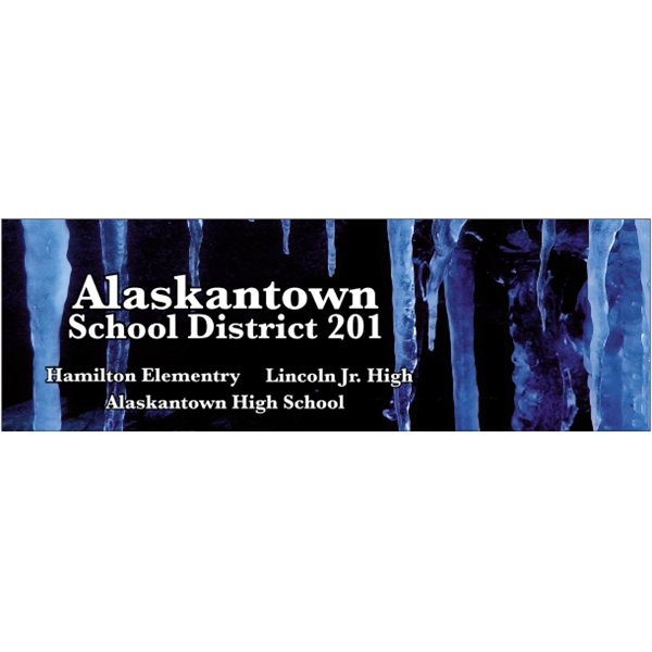 11.5" x 3.75" Bumper Sticker 4CP