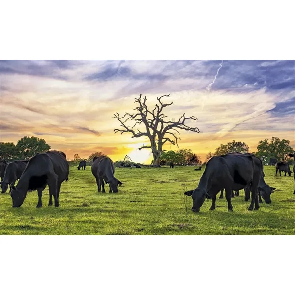 Triumph® Calendars Farm Pocket Calendar - Triumph® Calendars Farm Pocket Calendar - Image 43 of 56