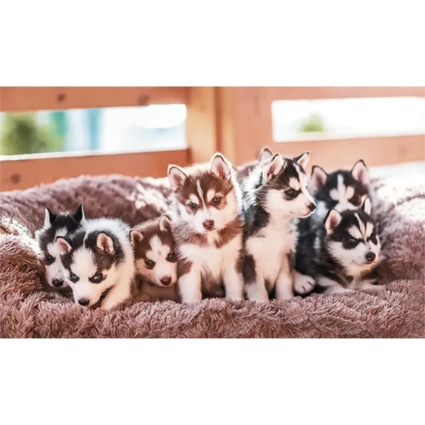 Triumph® Calendars Farm Pocket Calendar - Triumph® Calendars Farm Pocket Calendar - Image 45 of 56