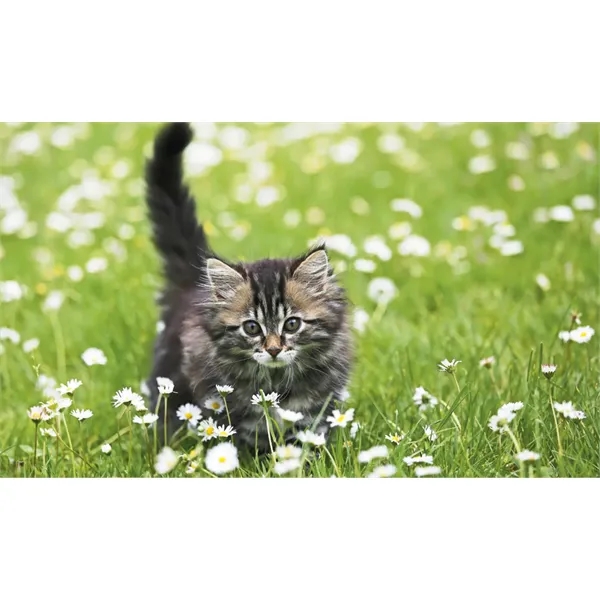 Triumph® Calendars Farm Pocket Calendar - Triumph® Calendars Farm Pocket Calendar - Image 46 of 56