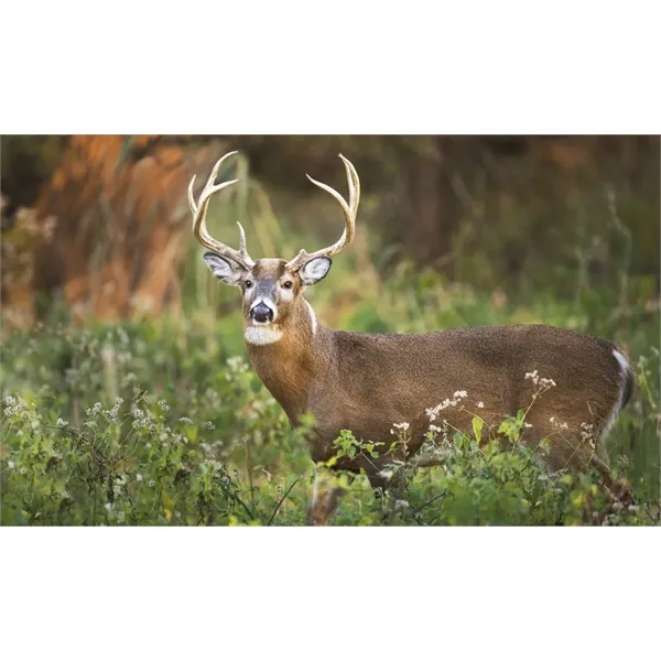 Triumph® Calendars Farm Pocket Calendar - Triumph® Calendars Farm Pocket Calendar - Image 54 of 56