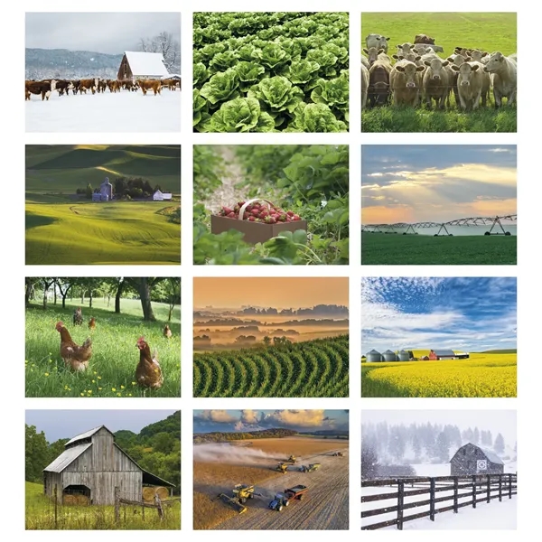 Good Value™ Agriculture - Spiral Calendar - Good Value™ Agriculture - Spiral Calendar - Image 7 of 31
