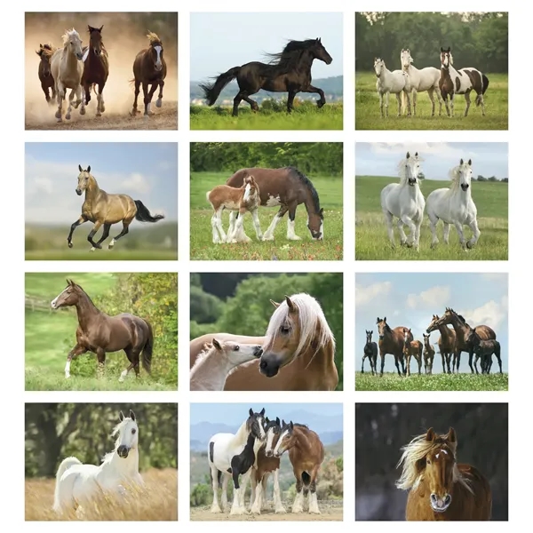 Triumph® Calendars Horses Calendar - Triumph® Calendars Horses Calendar - Image 15 of 31