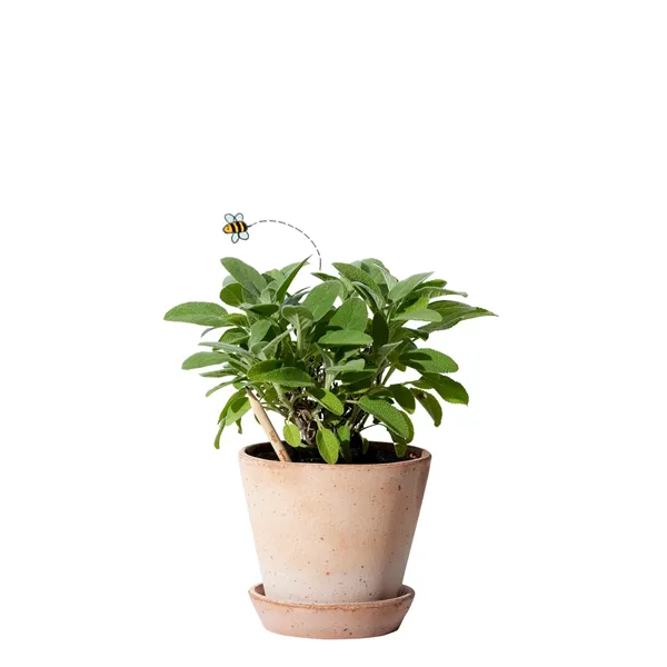 SproutWorld™ Pencil - SproutWorld™ Pencil - Image 19 of 20