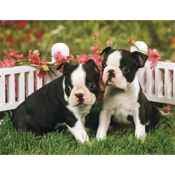 Products Four Paws Appointment Calendar - Stapled - Products Four Paws Appointment Calendar - Stapled - Image 30 of 35