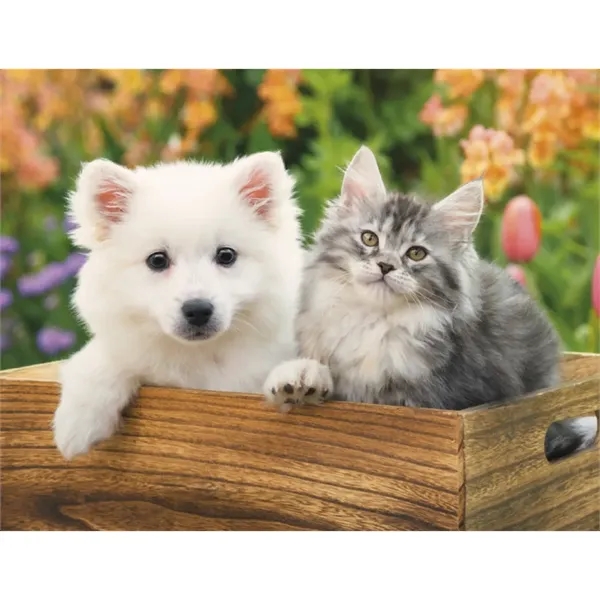 Products Four Paws Appointment Calendar - Stapled - Products Four Paws Appointment Calendar - Stapled - Image 32 of 35