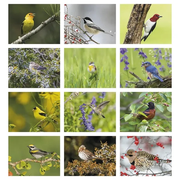 Products Songbirds Appointment Calendar - Stapled - Products Songbirds Appointment Calendar - Stapled - Image 7 of 31