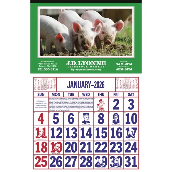 Skinner & Kennedy™ Large Everyday Farm Memo - Skinner & Kennedy™ Large Everyday Farm Memo - Image 16 of 86