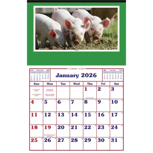 Skinner & Kennedy™ Large Everyday Farm Memo - Skinner & Kennedy™ Large Everyday Farm Memo - Image 39 of 86