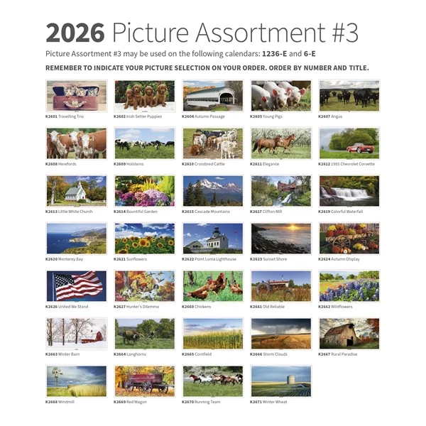 Skinner & Kennedy™ Large Everyday Farm Memo - Skinner & Kennedy™ Large Everyday Farm Memo - Image 52 of 86