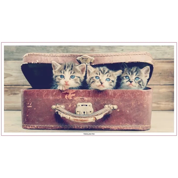 Skinner & Kennedy™ Large Everyday Farm Memo - Skinner & Kennedy™ Large Everyday Farm Memo - Image 53 of 86